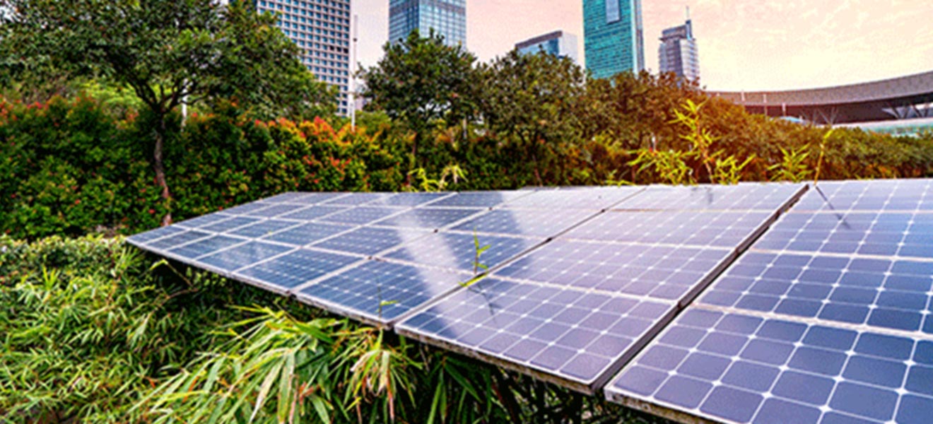 Solar panels with greenery